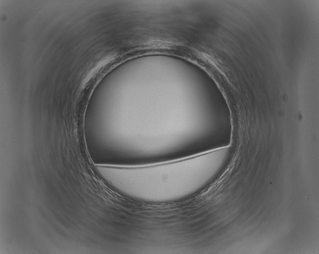 X0000070231307200605261051