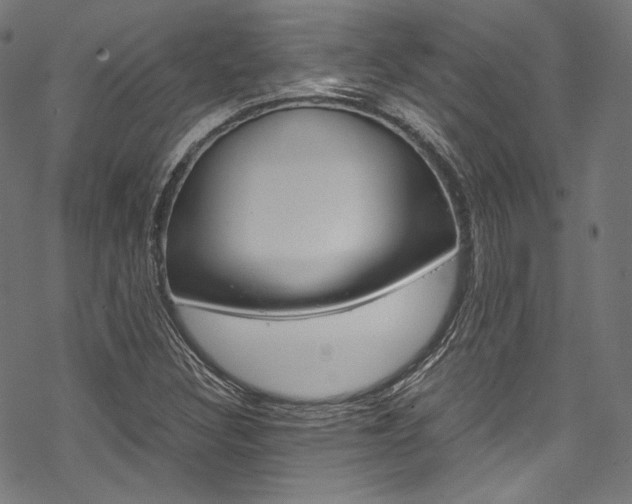 X0000070231308200605261051