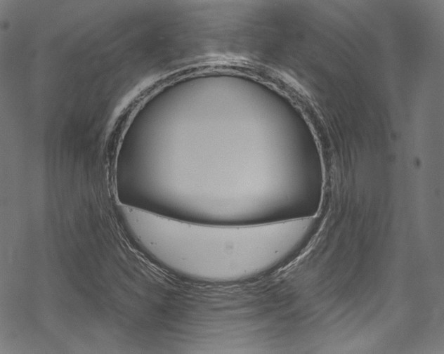 X0000070231310200605261052