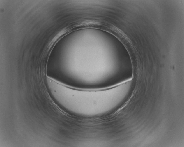 X0000070231321200605261052