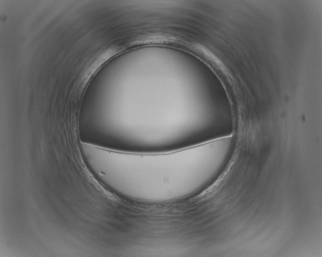 X0000070231329200605261052
