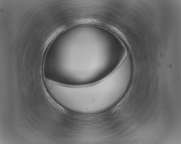 X0000070231330200605261052