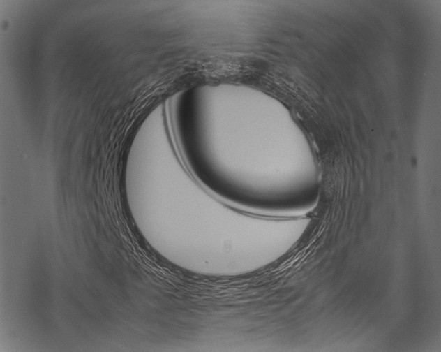 X0000070231345200605261051