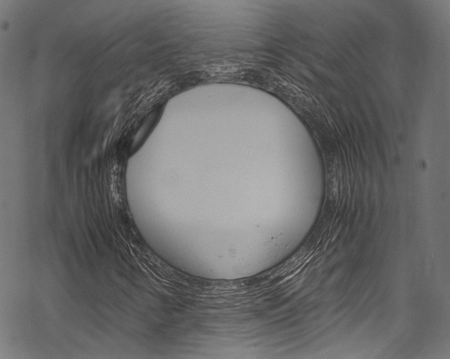 X0000070231346200605261051