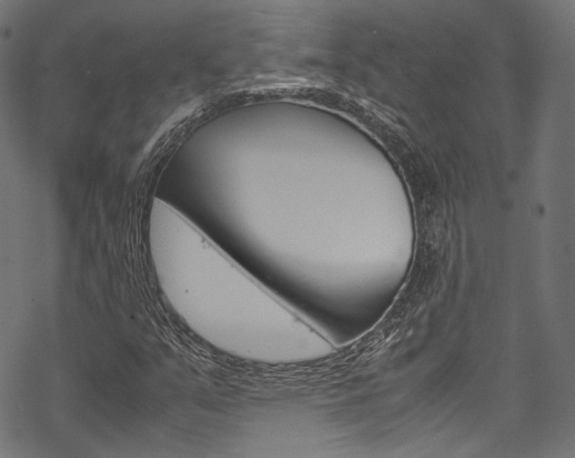X0000070231351200605261051