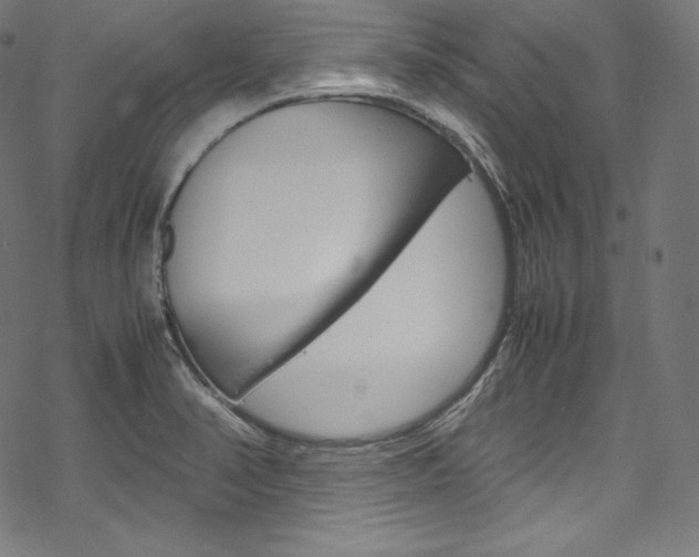 X0000070231374200605261051