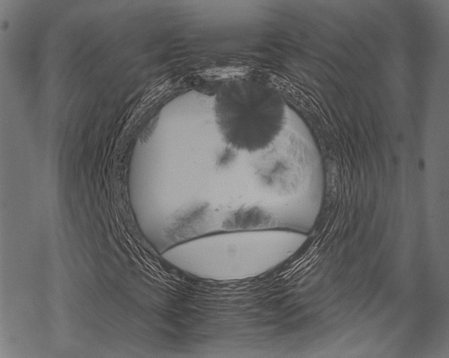 X0000070231393200605261050
