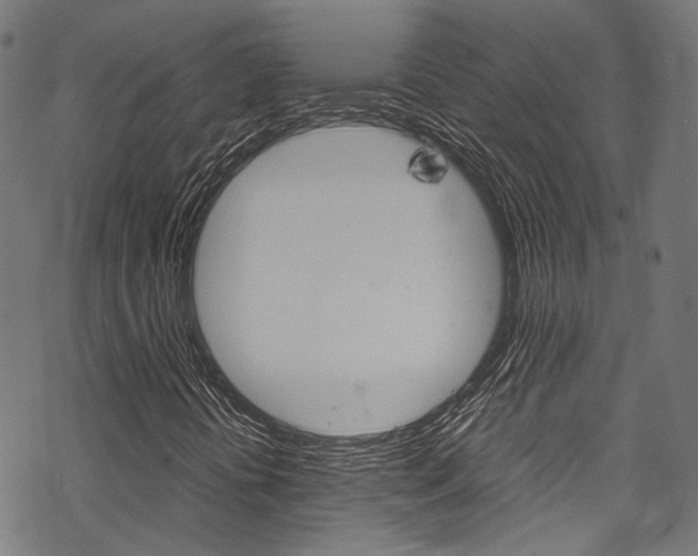 X0000070231394200605261050