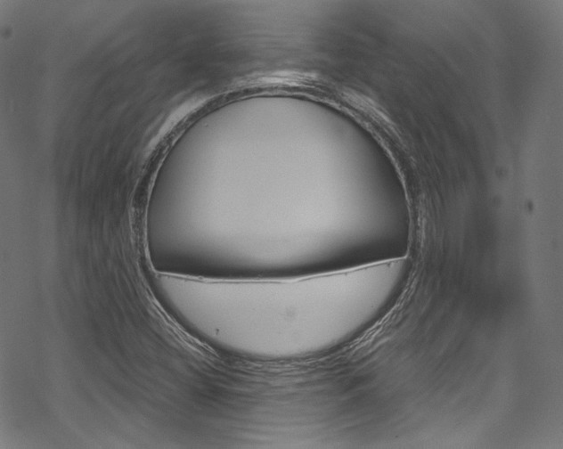 X0000070231404200605261050