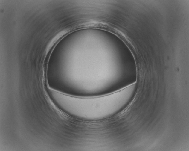 X0000070231418200605261050