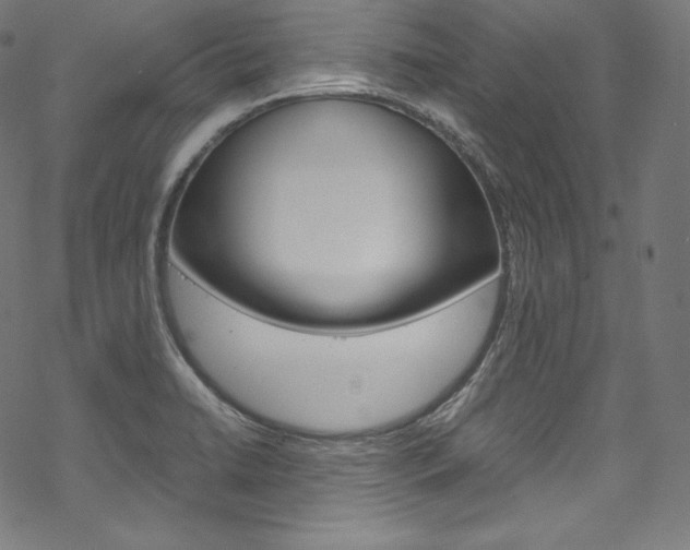 X0000070231422200605261050