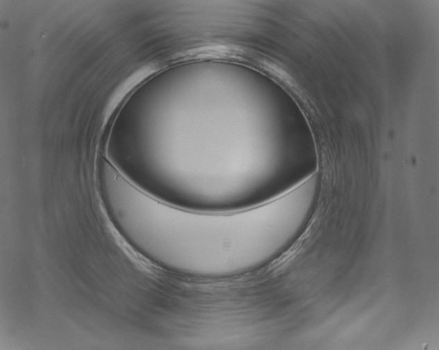 X0000070231426200605261050