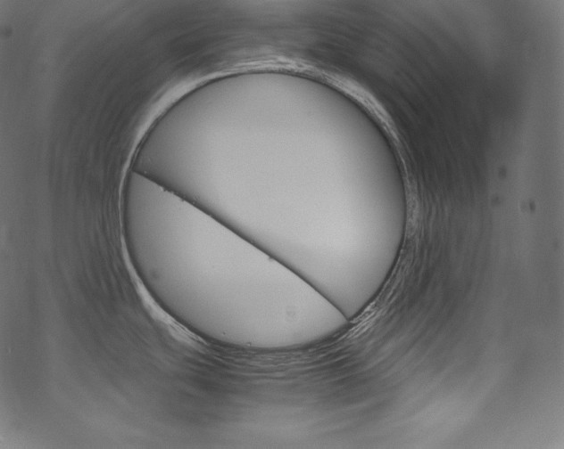 X0000070231439200605261050