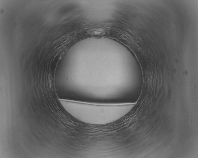 X0000070231442200605261050
