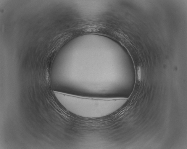 X0000070231444200605261050