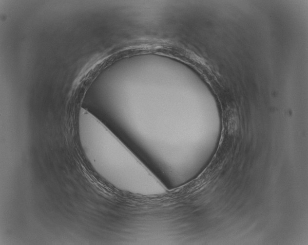 X0000070231448200605261050