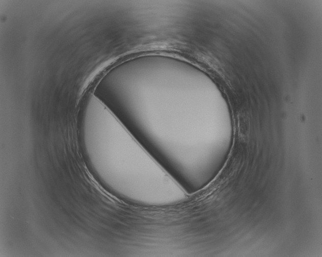 X0000070231452200605261050