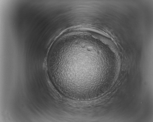 X0000070230002200605261356