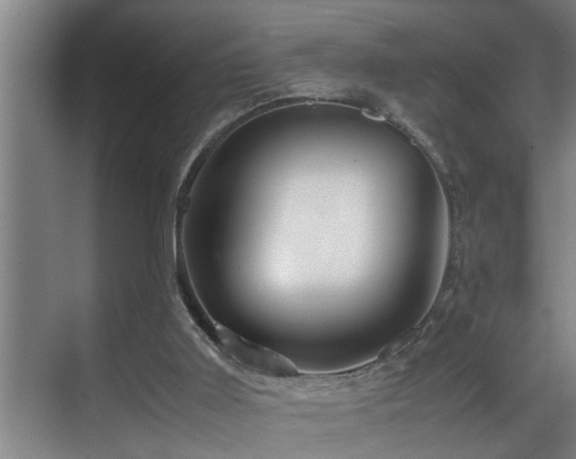 X0000070230011200605261355