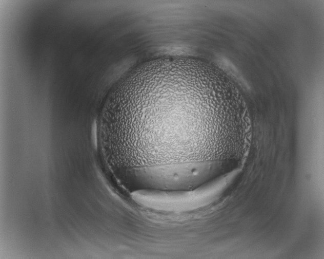 X0000070230014200605261355