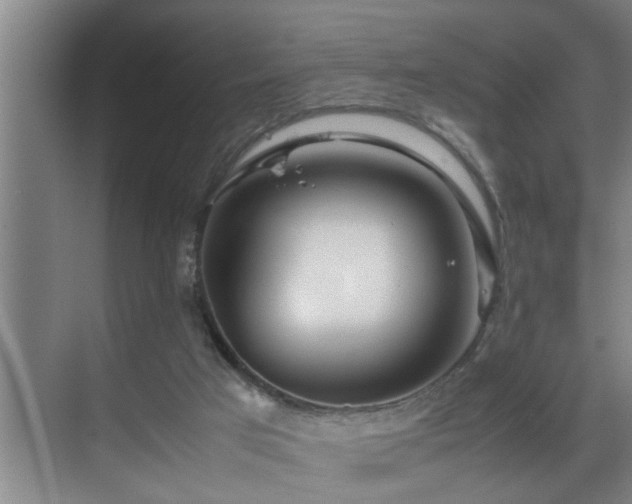 X0000070230017200605261355