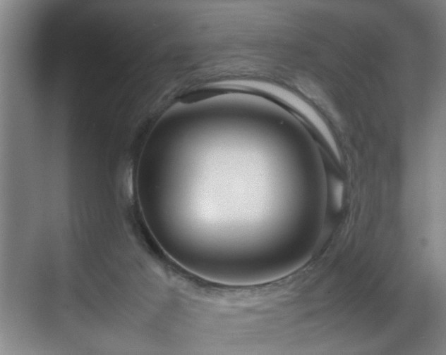 X0000070230021200605261355