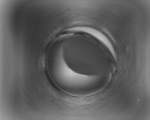 X0000070230023200605261355