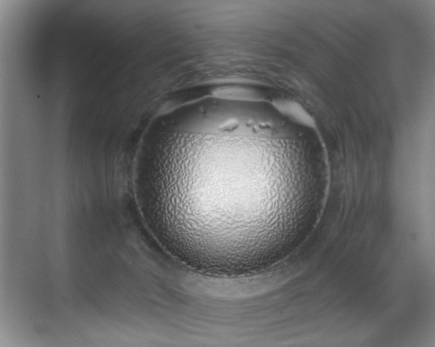 X0000070230030200605261355
