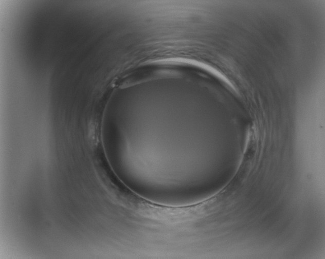 X0000070230031200605261355