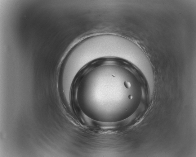 X0000070230056200605261354