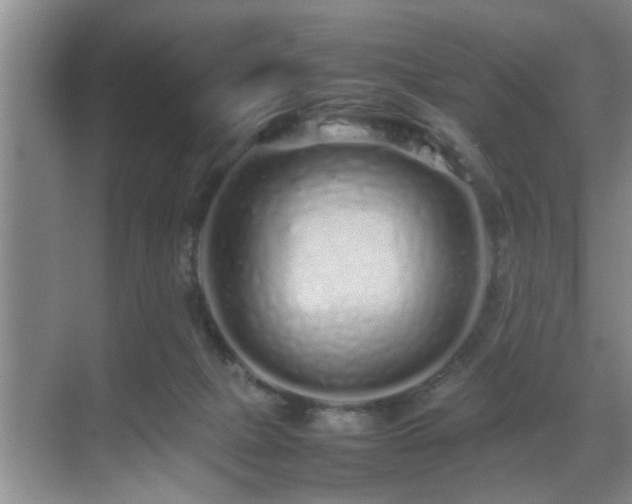 X0000070230073200605261354
