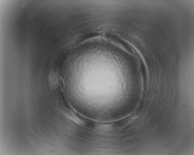 X0000070230081200605261355