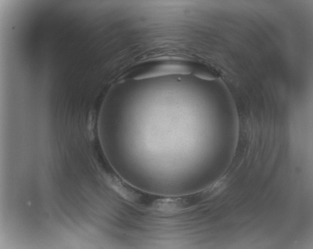 X0000070230082200605261355