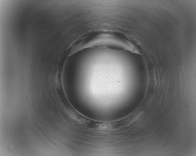 X0000070230088200605261355