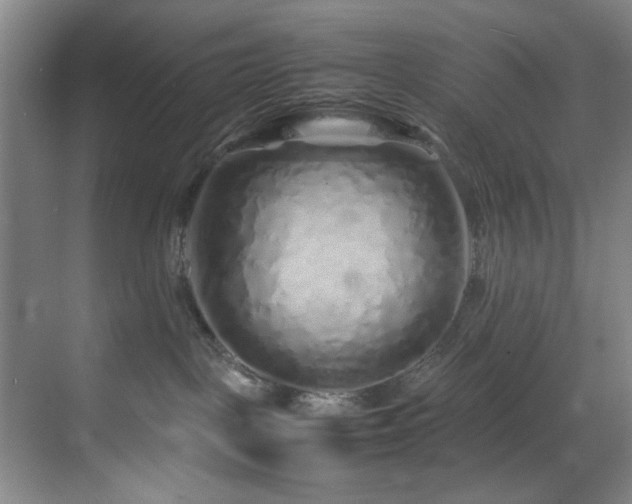 X0000070230093200605261355