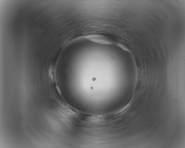 X0000070230094200605261355