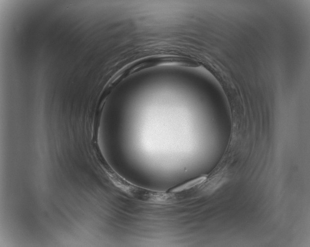 X0000070230096200605261355