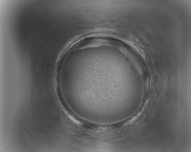 X0000070230101200605261354