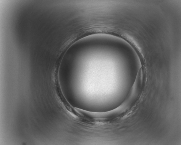 X0000070230105200605261354