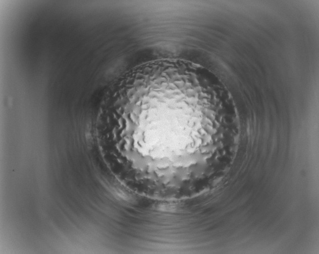 X0000070230134200605261353
