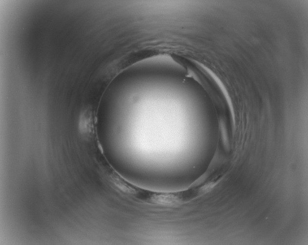 X0000070230137200605261353