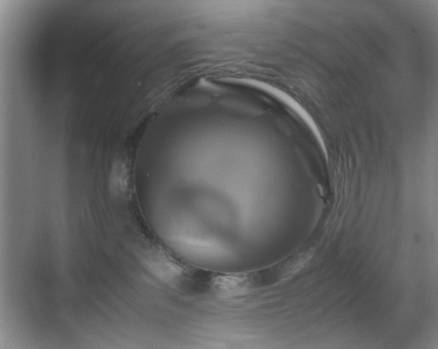 X0000070230139200605261353