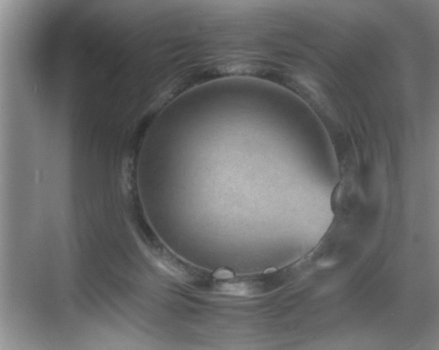 X0000070230171200605261353