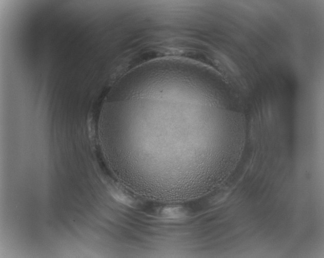 X0000070230173200605261353