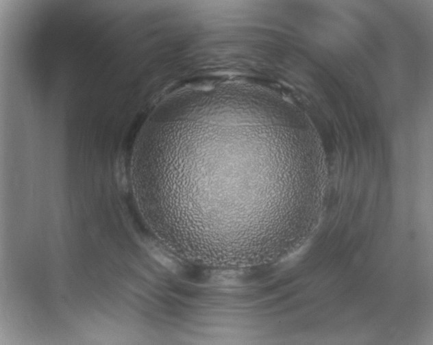 X0000070230182200605261353