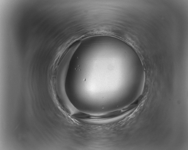 X0000070230193200605261352