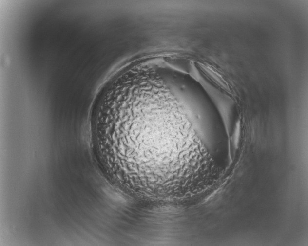 X0000070230198200605261352