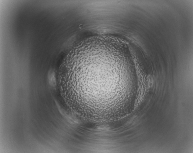 X0000070230214200605261352