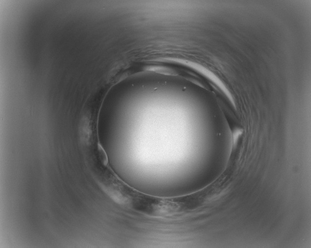 X0000070230215200605261352
