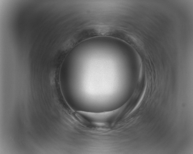 X0000070230221200605261352